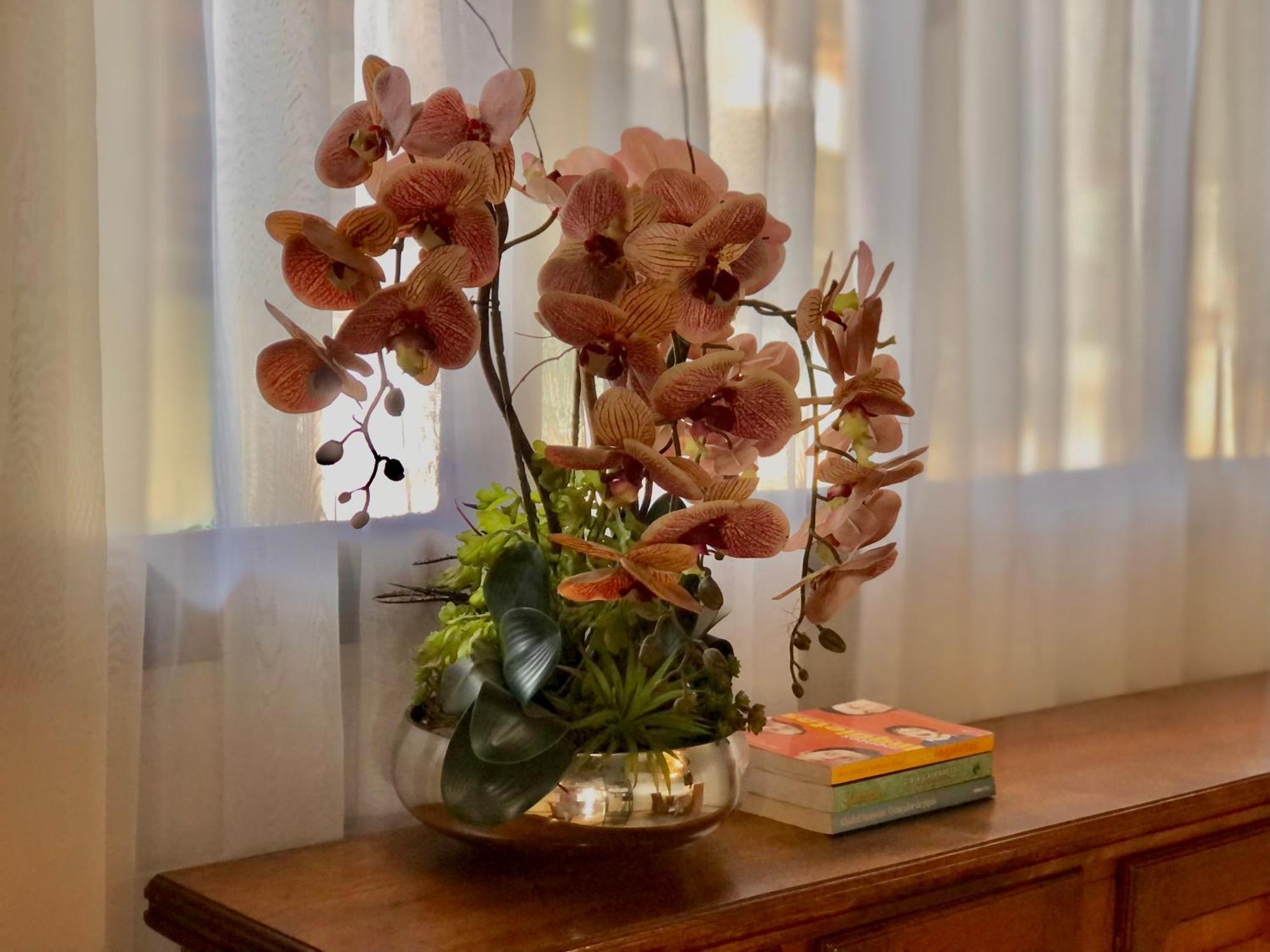 Pousada Jardins Santarém エクステリア 写真